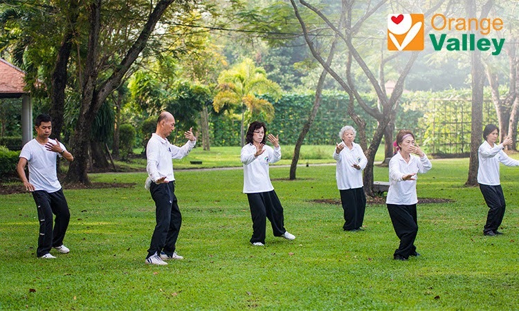 People practicing tai chi in a park.